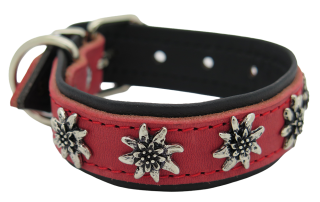Halsband Edelweiss 25mm (16206)
